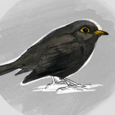 rodzebird's profile picture. Building software ; artificial intelligence adept & metaprogramming lover.
Into psychology, photography and jokes — serious business.