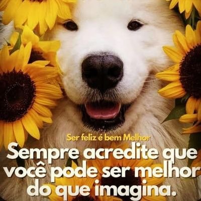 MarcosT46970406's profile picture. Sou show!!!