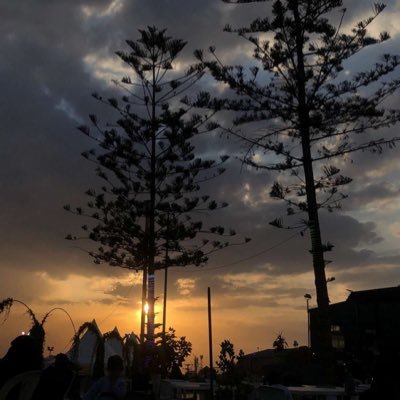 Roh__00's profile picture. ضايع مابين الشعر والحنين..!