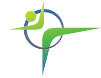 Ideagility is a search marketing innovations company & the makers of AgileBid®, the easiest and most affordable pay-per-click bid management service for SMBs.