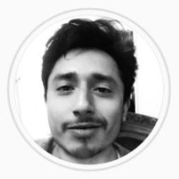 VladimirGNP's profile picture. 