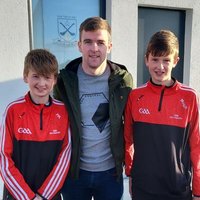 Toni Ryan (@toniryan2008) 's Twitter Profile