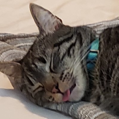 SohJuuさんのプロフィール画像