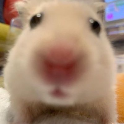 93o_f's profile picture. 