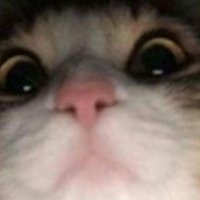 Matheus Andrade (@matheuzraiden) 's Twitter Profile