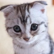 defiprincex's profile picture. 