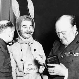 Cob_Rust's profile picture. discord-Cob#6927