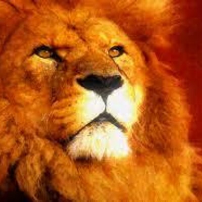 TimAdejumo's profile image