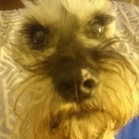 Paty (@patyzzy) 's Twitter Profile