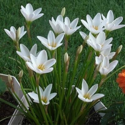 chiko_926's profile picture. 私も思いました、そうですよね、色々な方がいて、色々な考え方があると思います、私もコメント、ツィートすると思います嫌な思いしたら『黙ってそっとブロック』して下さい