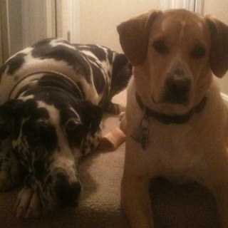 gilesaaron7's profile picture. 