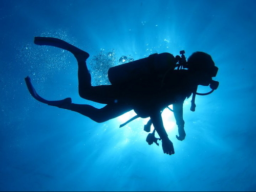 maximorios's profile picture. 