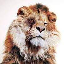 SergioFernRuiz's profile picture. Tranquilo