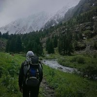 Андрей (@zlodeymomo) 's Twitter Profile