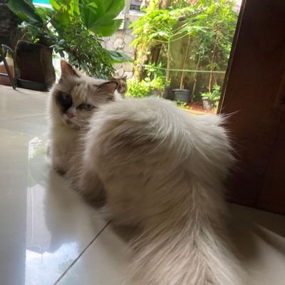 axc27's profile picture. 