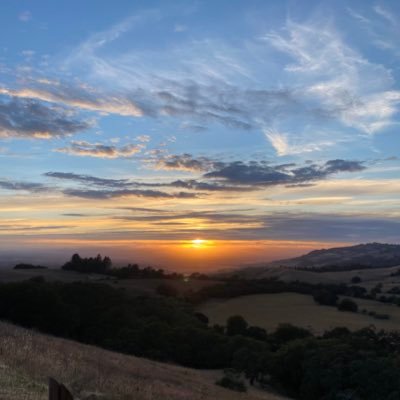 its_yaire's profile picture. 