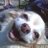 MsMagaPi's profile image