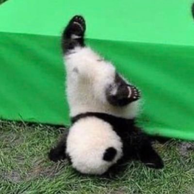 gudetamaVitzGR's profile picture. 基本無党派（但し否維新・否創価学会・否菅義偉、否参政党、否日本保守党、否N国党）。国民のための政治・政治家・政策を支持。日本の将来を支える若者・子供達のことをしっかり考える方も支持。おかしいと思う内容には遠慮せず物申します。怪しいフォロワーはこちらからフォロー外します。鍵垢の方は鍵を外してからフォローください。