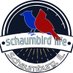 SchaumBird Life (@schaumbirdlife) Twitter profile photo SchaumBird Life (@schaumbirdlife) Twitter profile photo
