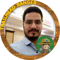 Navin (@navinsfdc) 's Twitter Profile