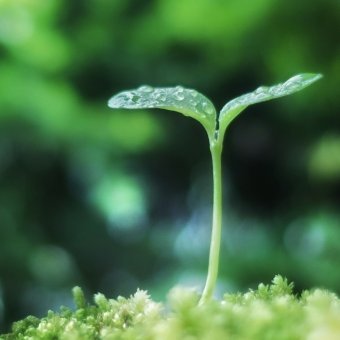 shu_12345_'s profile picture. 京都大学/理系/英語/筋トレ/映画/アニメ
気軽にフォローお願いします。
↓note始めました。