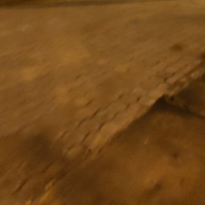 Wondy_CYepez's profile picture. 