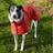 crocus_sarahm's profile image