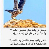 ابو ناصر الجربوعي (@alqahtanyghanem) 's Twitter Profile