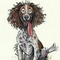 Jim Johnson (@jim_johnson_sc) 's Twitter Profile Photo