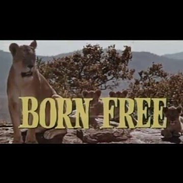 Paola_6805's profile picture. 