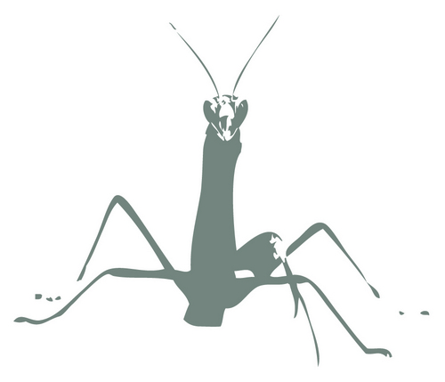 themantismuse's profile picture. 