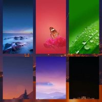 Kiymetnur Araz (@arazkiymetnur) Twitter profile photo