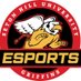 Seton Hill University Esports (@shu_egriffins) Twitter profile photo Seton Hill University Esports (@shu_egriffins) Twitter profile photo
