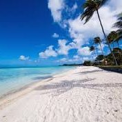 Hoàng Quốc dat (@hongqucdat1) 's Twitter Profile