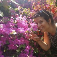 Yael Paz (@yaelpa144) 's Twitter Profile