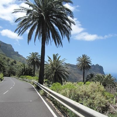 mathieu_g_'s profile picture. Read Only.
