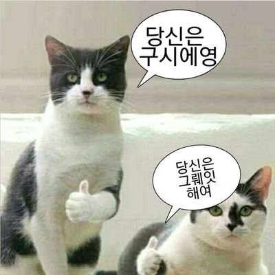 아잠아가리さんのプロフィール画像