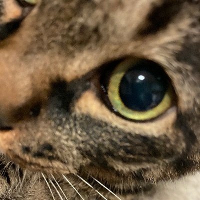 自由を何より愛する大阪人。座右の銘は「走れ。」。もともとSNS敬遠気味で未だ勝手が分からず四苦八苦。そこんとこご容赦頂きたく。口は悪いが、心を込めて生きてます。