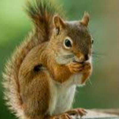 GarcarMayte's profile picture. 