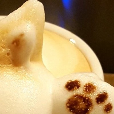 TW復帰からもう3年か•••モエン鯖とエル鯖で金土日を中心に活動中 ついに諸事情でクラブ長になってしまった(´;ω;`)モエンではベンヤ(レ具座)とリーチェ(レ虞挫)がメイン 最近はHypixel skyblockやグラブルにも熱中しております(・・;)