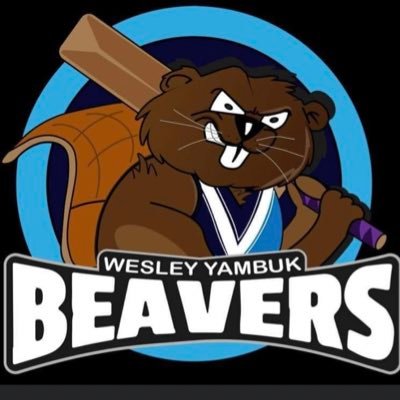 Newly Merged Cricket Club part of the WDCA