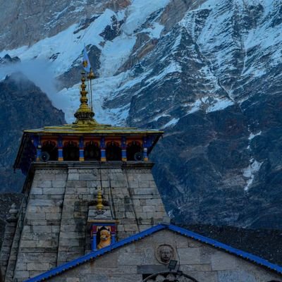 idealcurehealth's profile picture. Health Is Wealth !