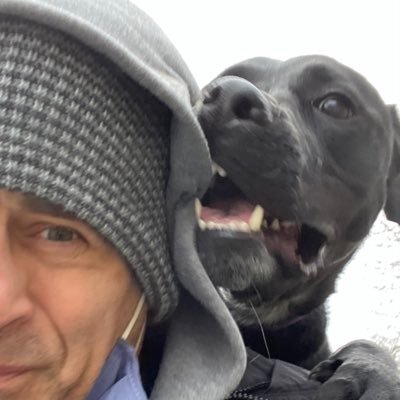 rescueDogWalker Profile Picture