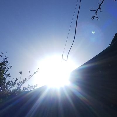 cupurage's profile picture. 右も左もわかりません(笑)
