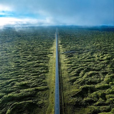 alallii_i's profile picture. 