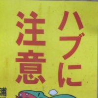 沖縄に行きたいさ〜。(@LetgotoOkinawa) 's Twitter Profile Photo