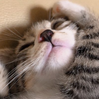 tappin115194131's profile picture. 