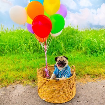 majaaaa69's profile picture. 