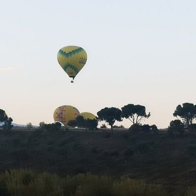 Madre, lectora, walker, Canaria y muy Española.