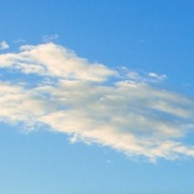 hjl131419's profile picture. https://t.co/tv5RAp35Ix